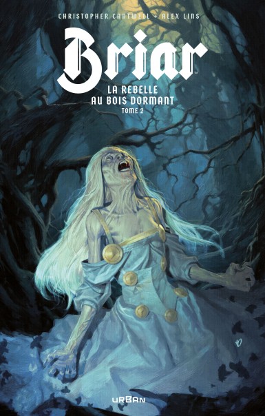 Couverture : Briar, la rebelle au bois dormant, tome 2